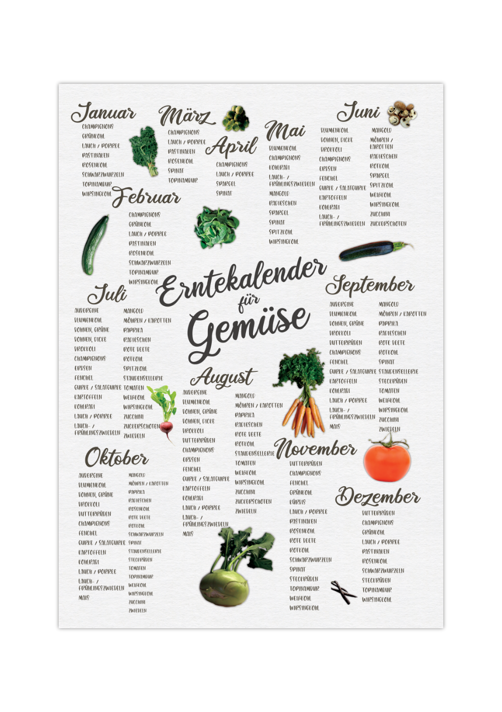 Das Poster zeigt dir einen Erntekalender für Gemüse, geordnet nach Monaten in weiß.